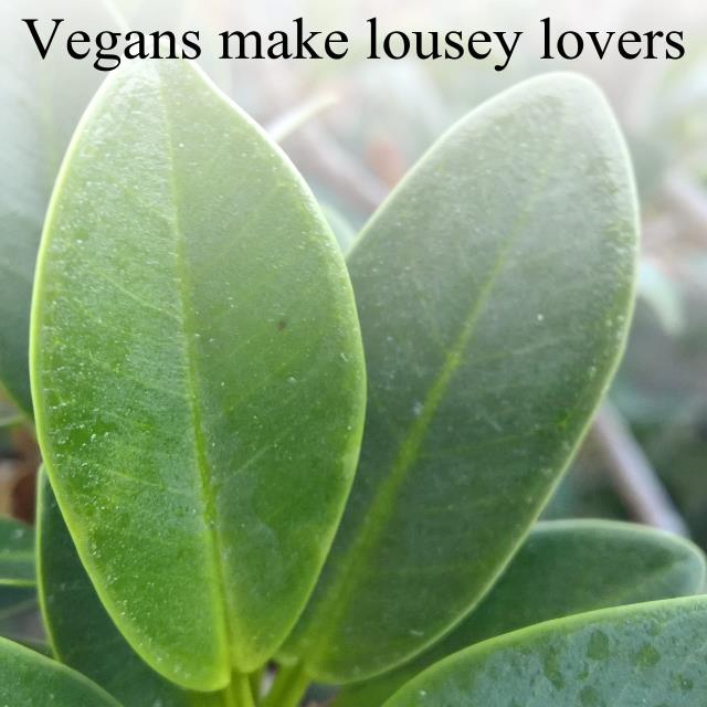 Vegans make lousey lovers