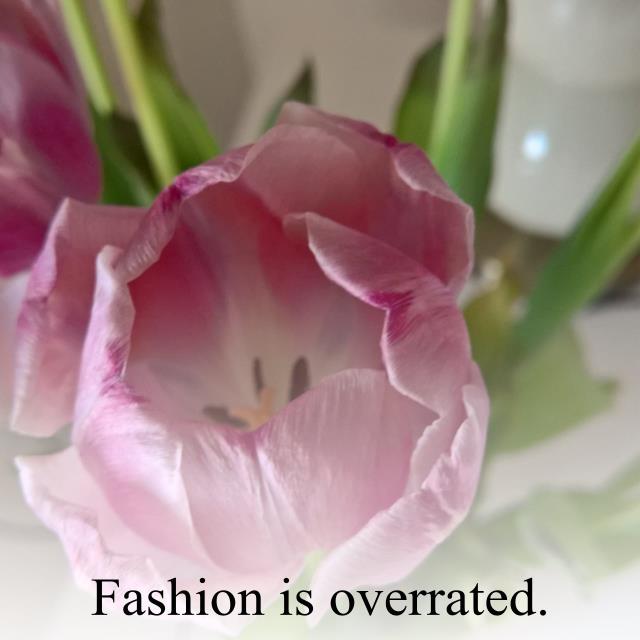 Fashion is overrated.