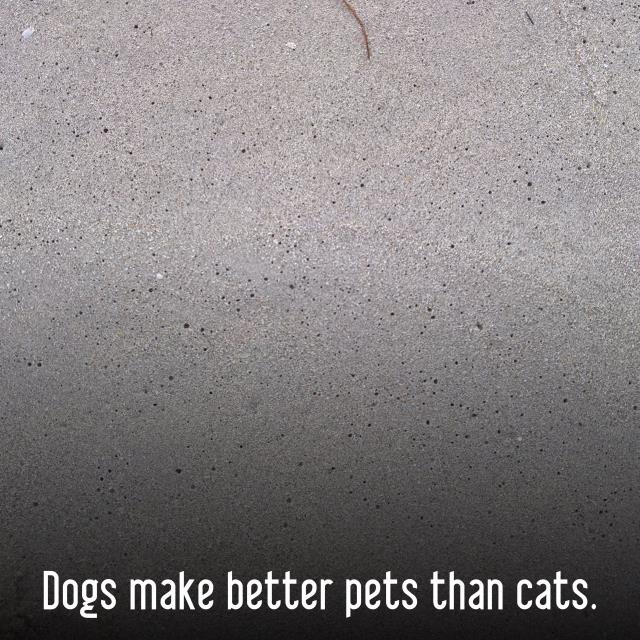Dogs make better pets than cats.