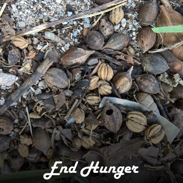 End Hunger