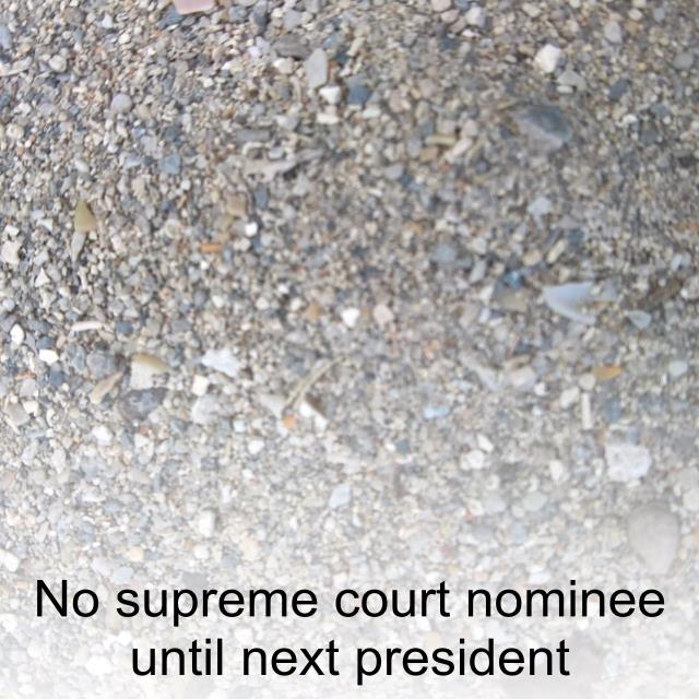 No supreme court nominee until next president