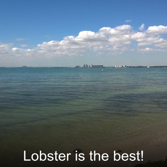 Lobster is the best!