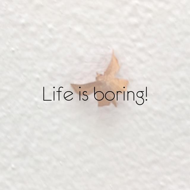 Life is boring!