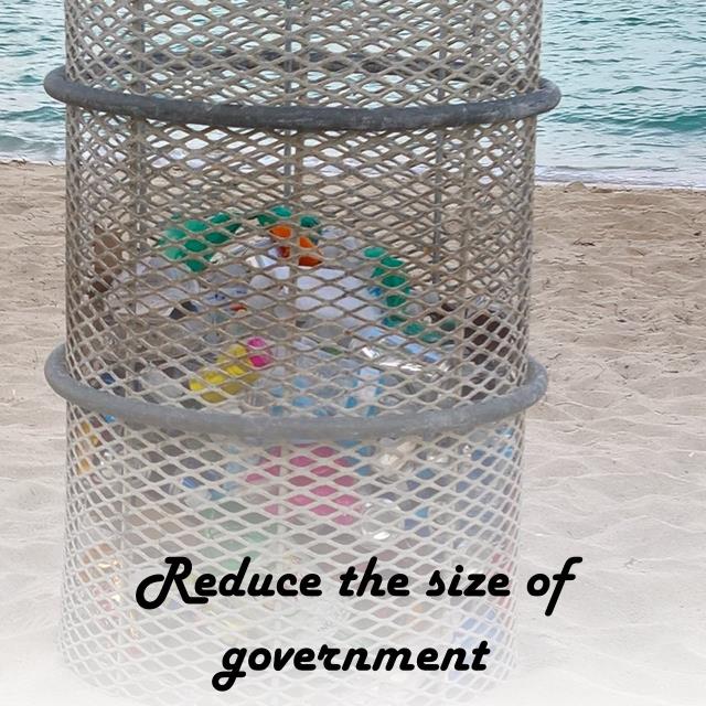 Reduce the size of government