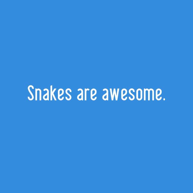 Snakes are awesome.