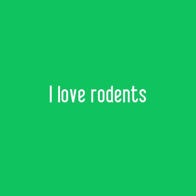 I love rodents