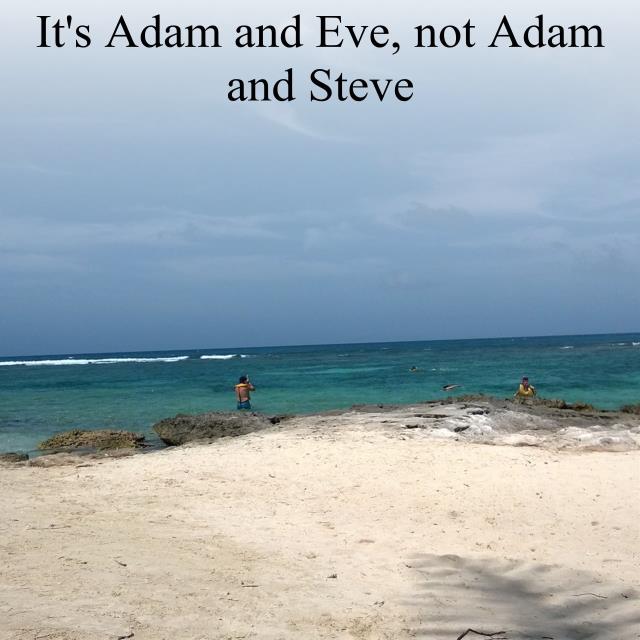 It's Adam and Eve, not Adam and Steve