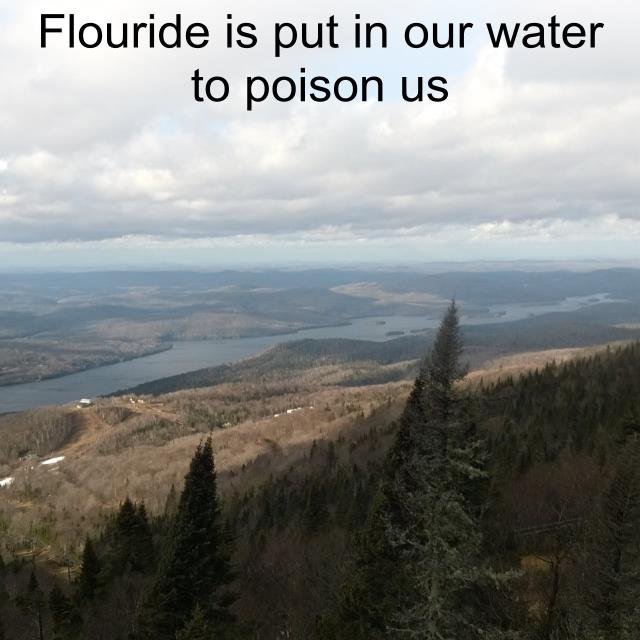 Flouride is put in our water to poison us