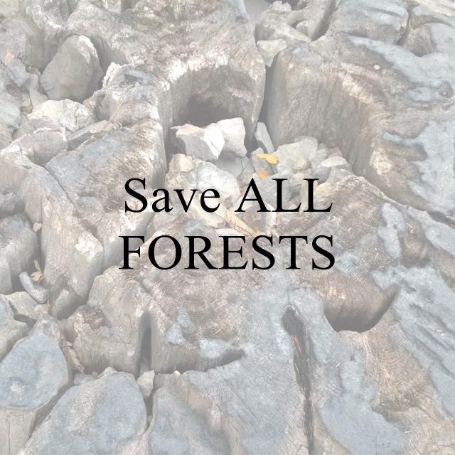 Save ALL FORESTS