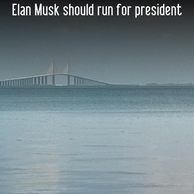 Elan Musk should run for president