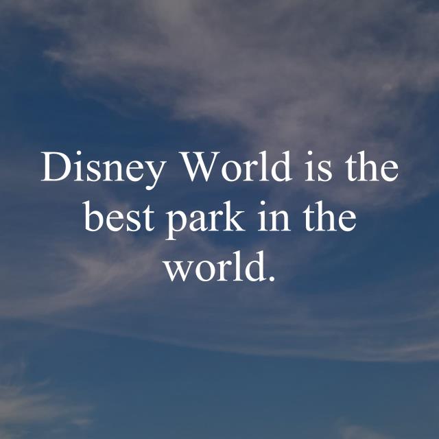 Disney World is the best park in the world.