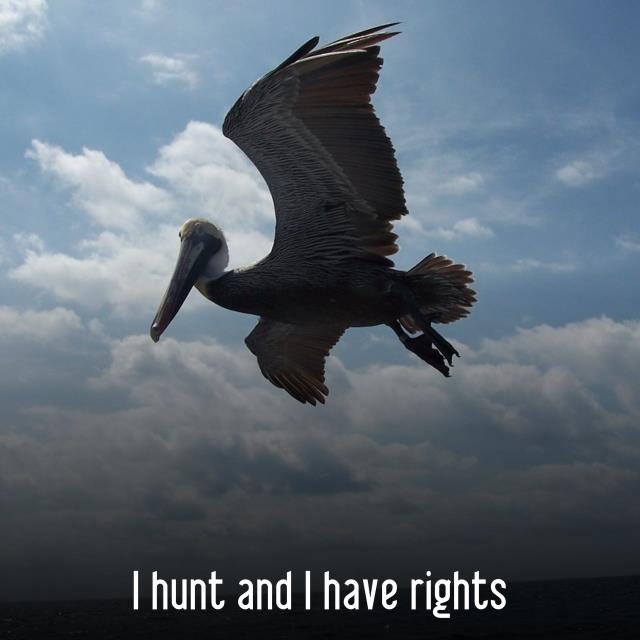 I hunt and I have rights