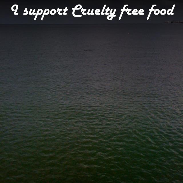 I support Cruelty free food