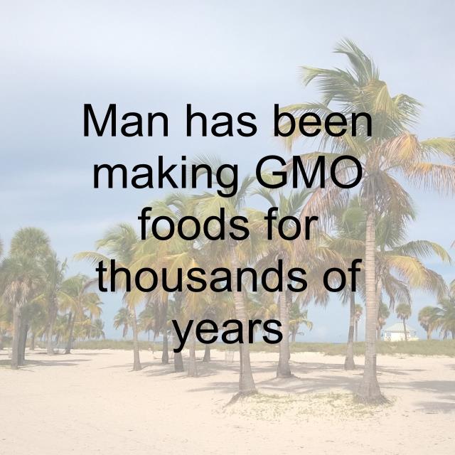 Man has been making GMO foods for thousands of years