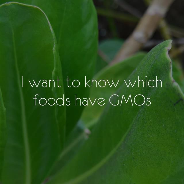I want to know which foods have GMOs