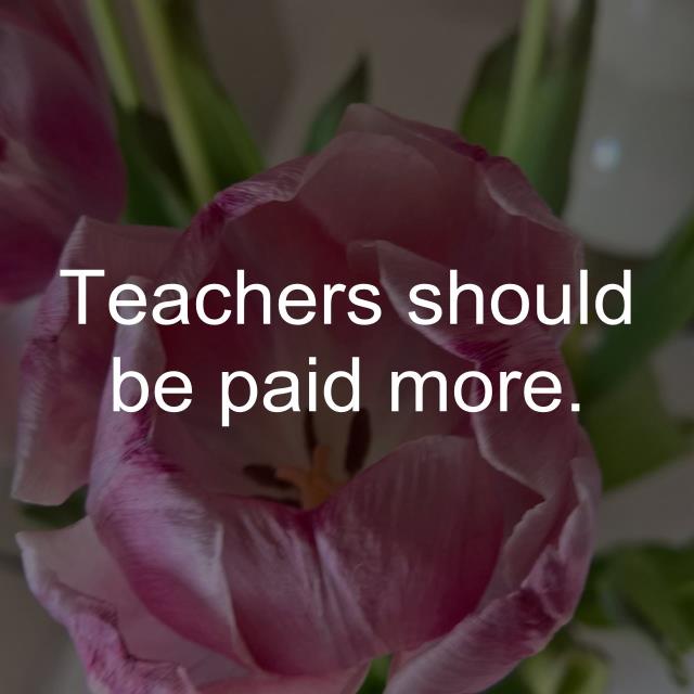 Teachers should be paid more.