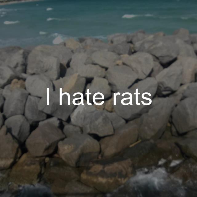 I hate rats