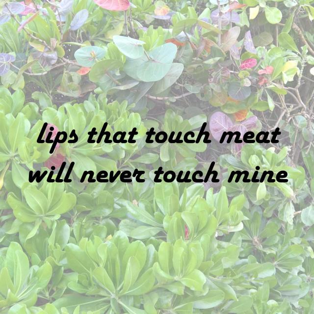 lips that touch meat will never touch mine