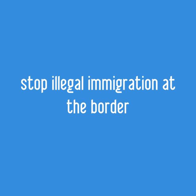 stop illegal immigration at the border