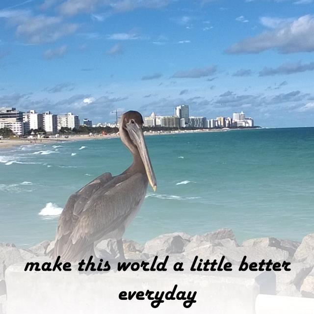 make this world a little better everyday