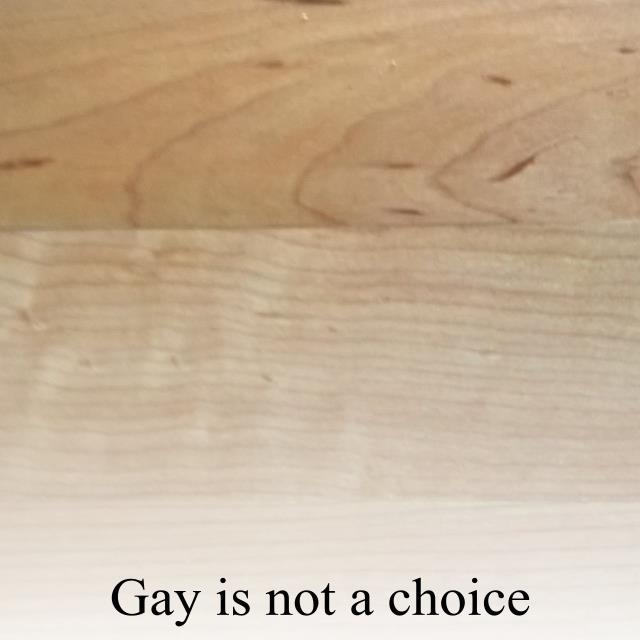 Gay is not a choice