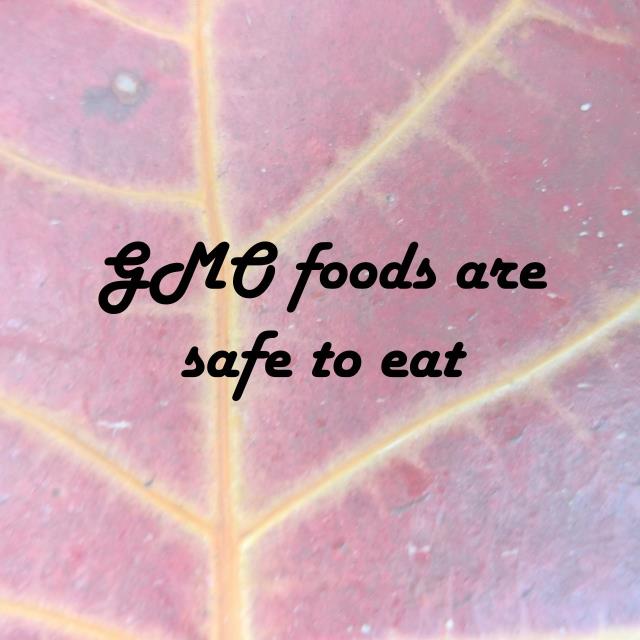 GMO foods are safe to eat