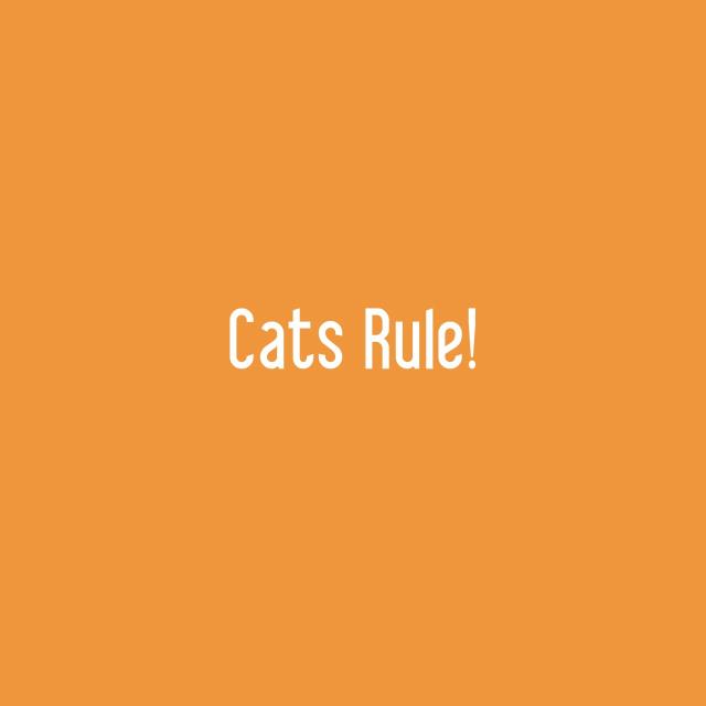 Cats Rule!