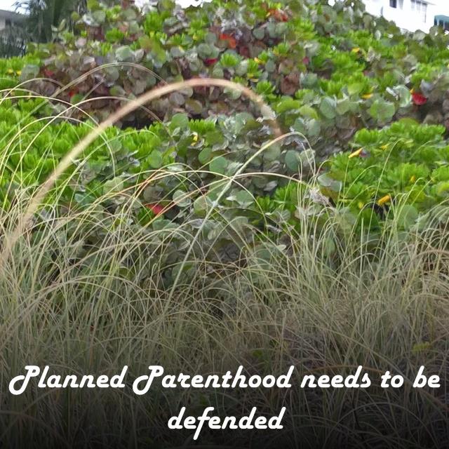 Planned Parenthood needs to be defended