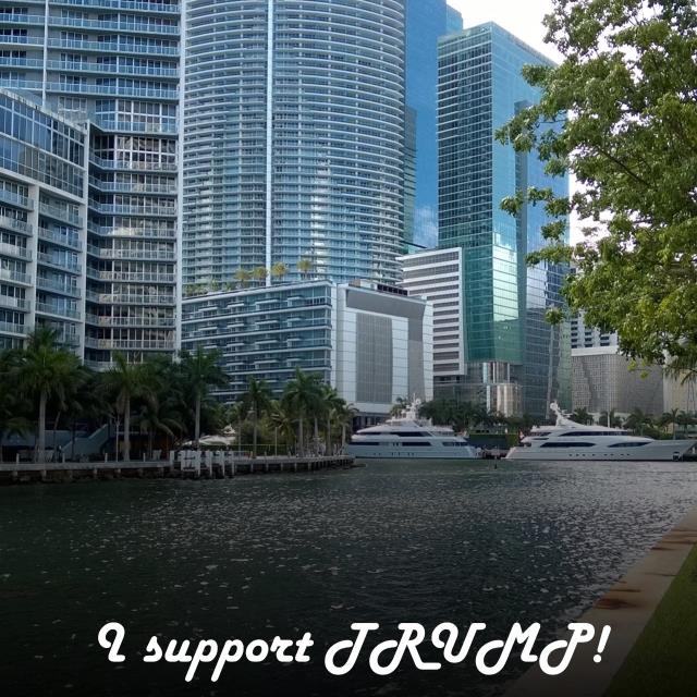 I support TRUMP!