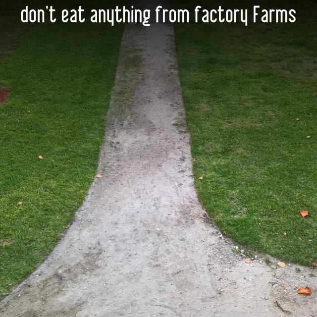 don't eat anything from factory Farms