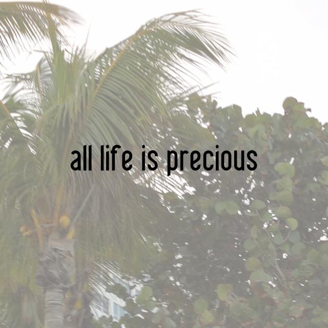 all life is precious