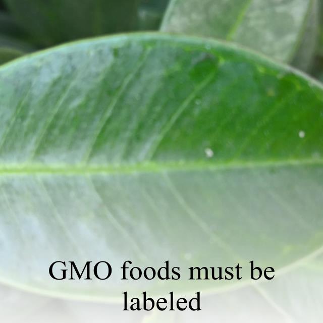 GMO foods must be labeled