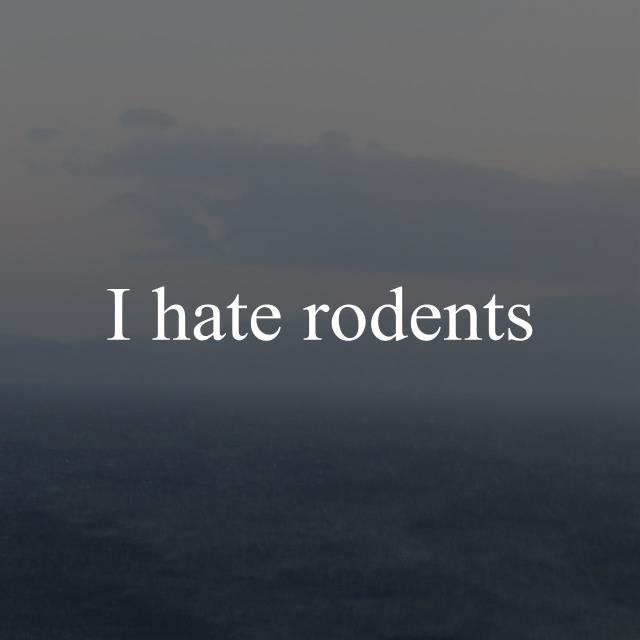I hate rodents