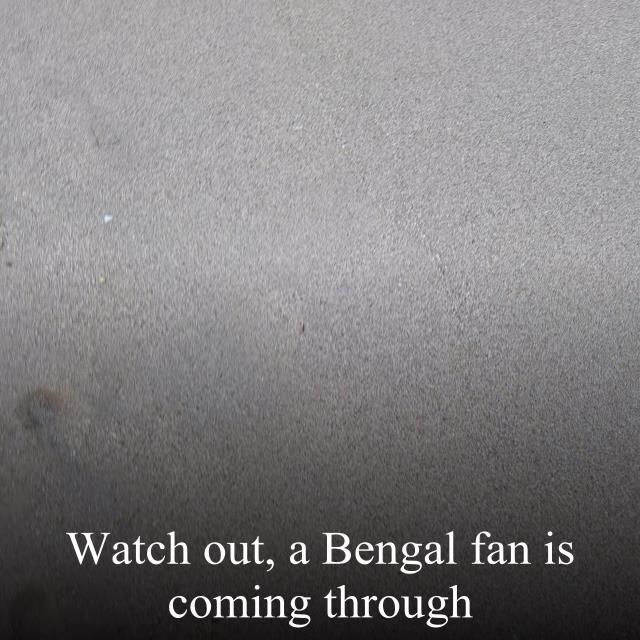 Watch out, a Bengal fan is coming through