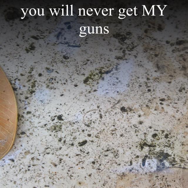 you will never get MY guns