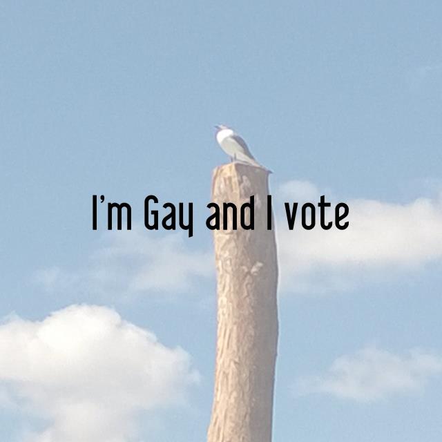 I'm Gay and I vote