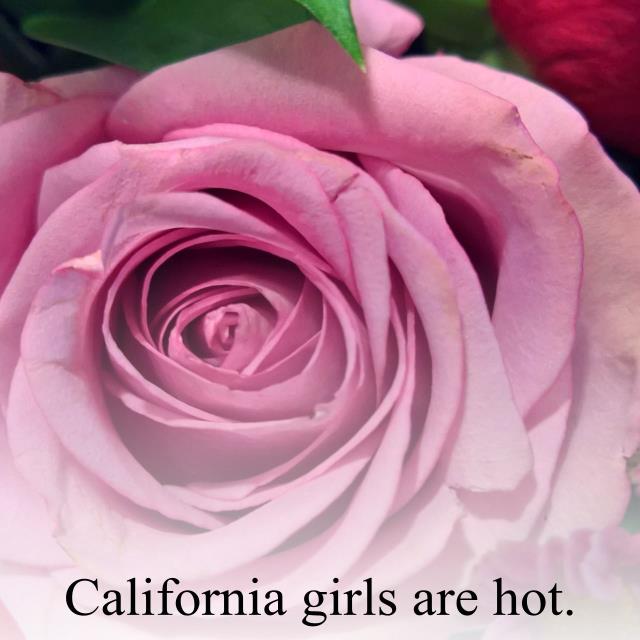 California girls are hot.