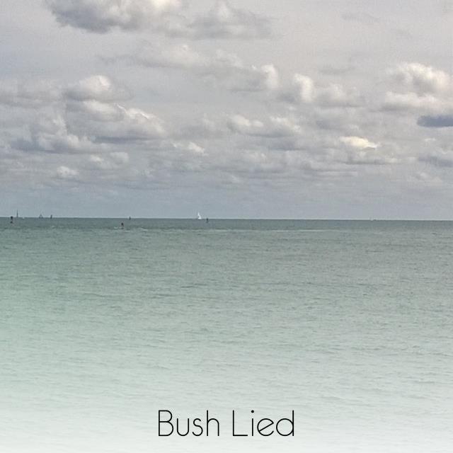 Bush Lied