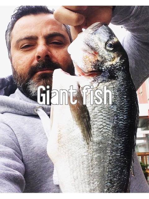 Giant fish