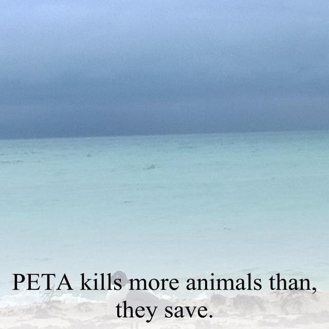 PETA kills more animals than, they save.