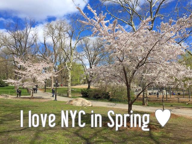 I love NYC in Spring ♥