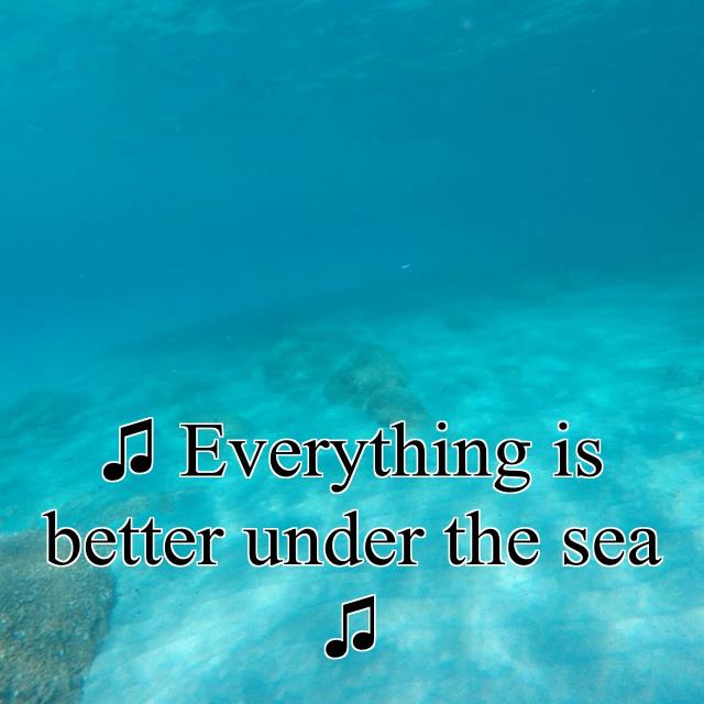 ♫ Everything is better under the sea ♫