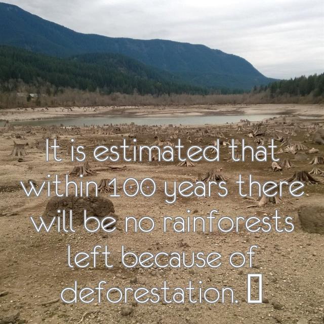 It is estimated that within 100 years there will be no rainforests left because of deforestation. ✋