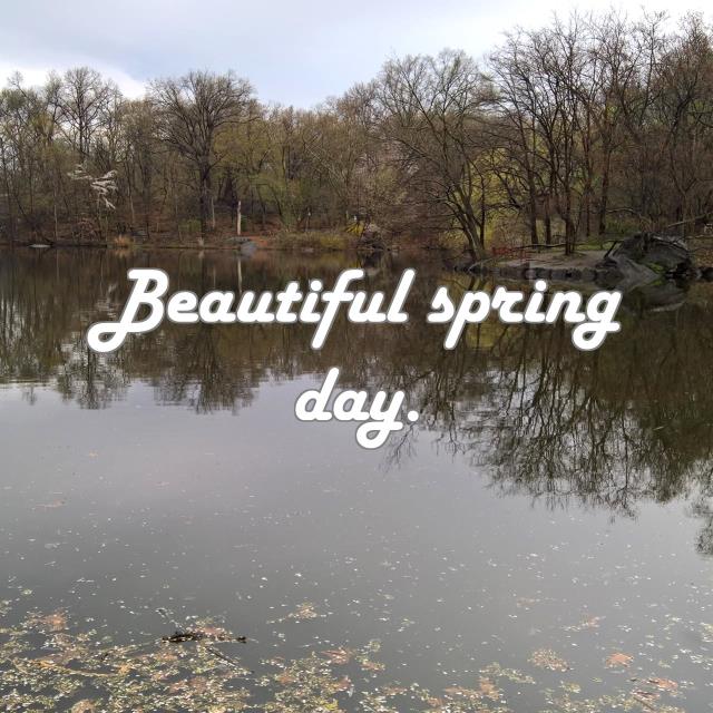 Beautiful spring day.