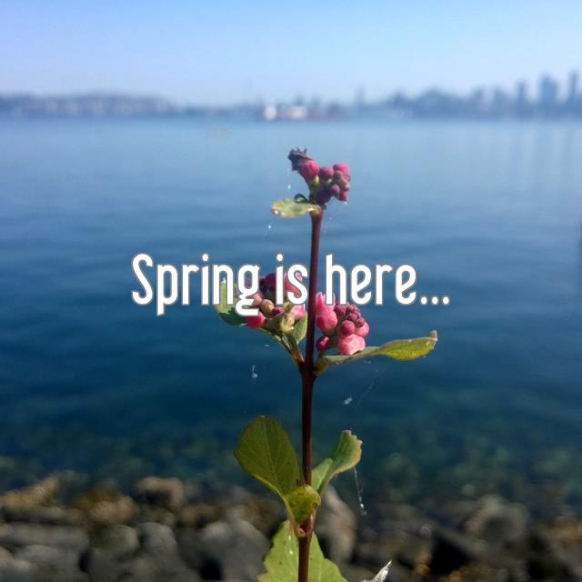 Spring is here...