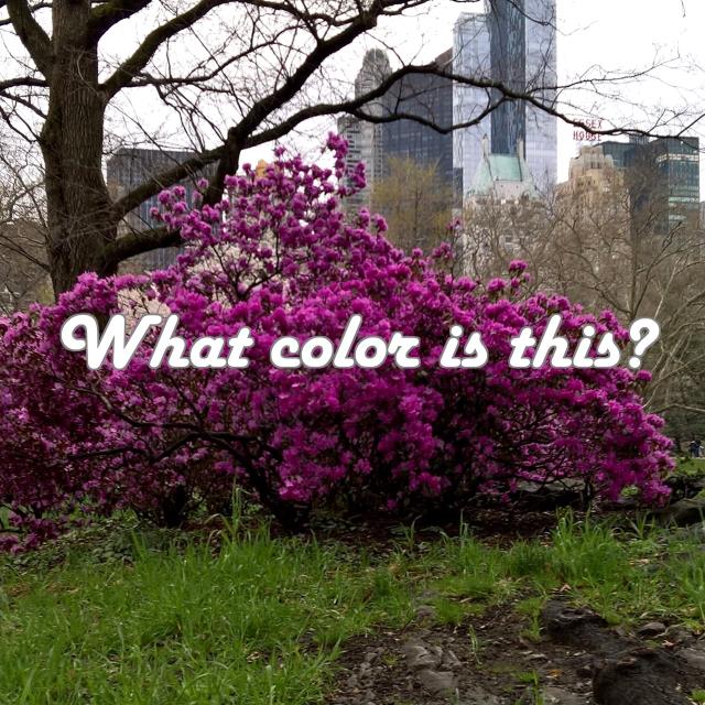 What color is this?