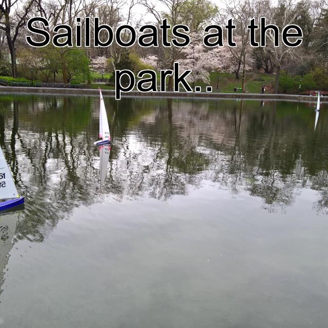 Sailboats at the park..