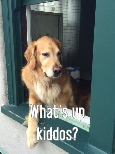 What's up kiddos?