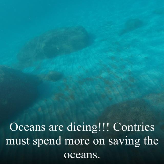 Oceans are dieing!!! Contries must spend more on saving the oceans.