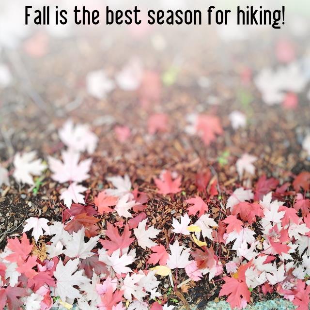 Fall is the best season for hiking!